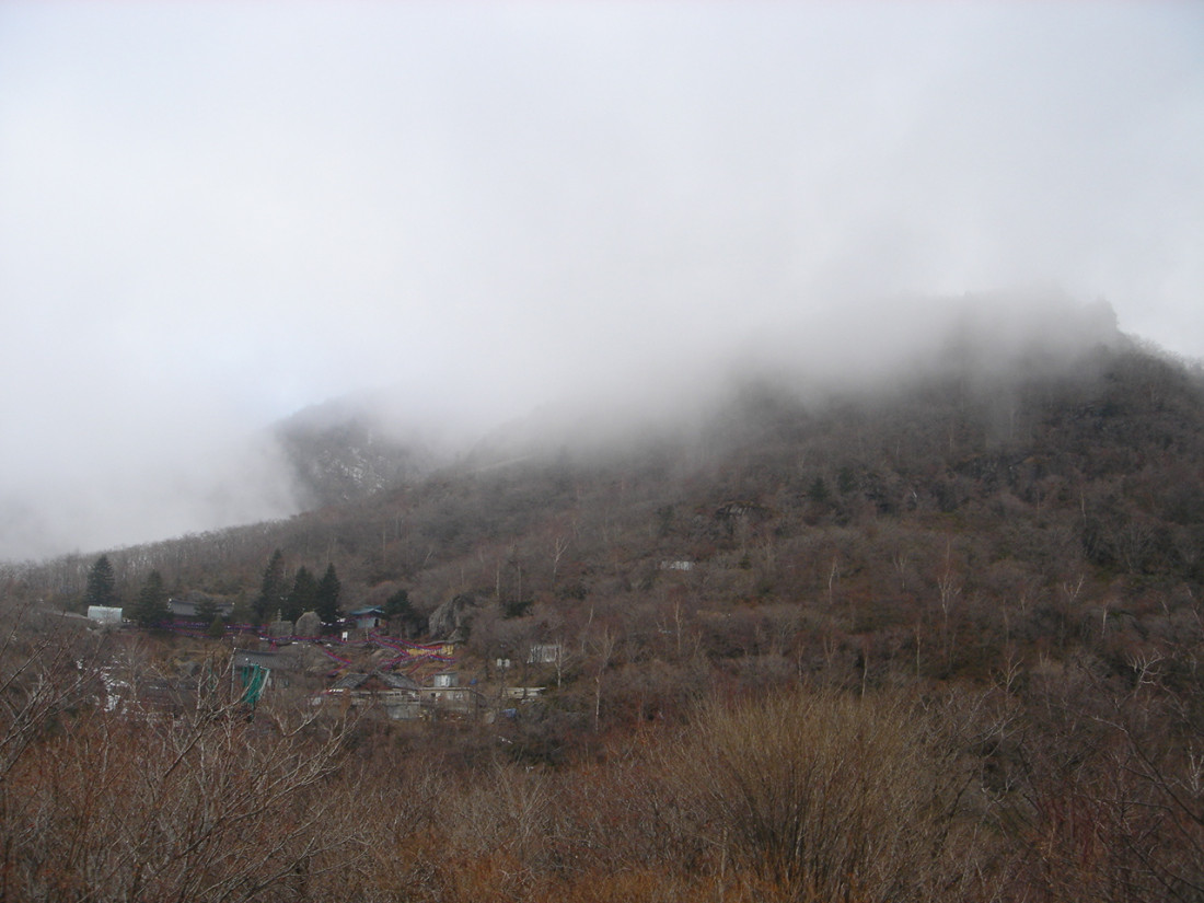 20070102_015_copy.jpg