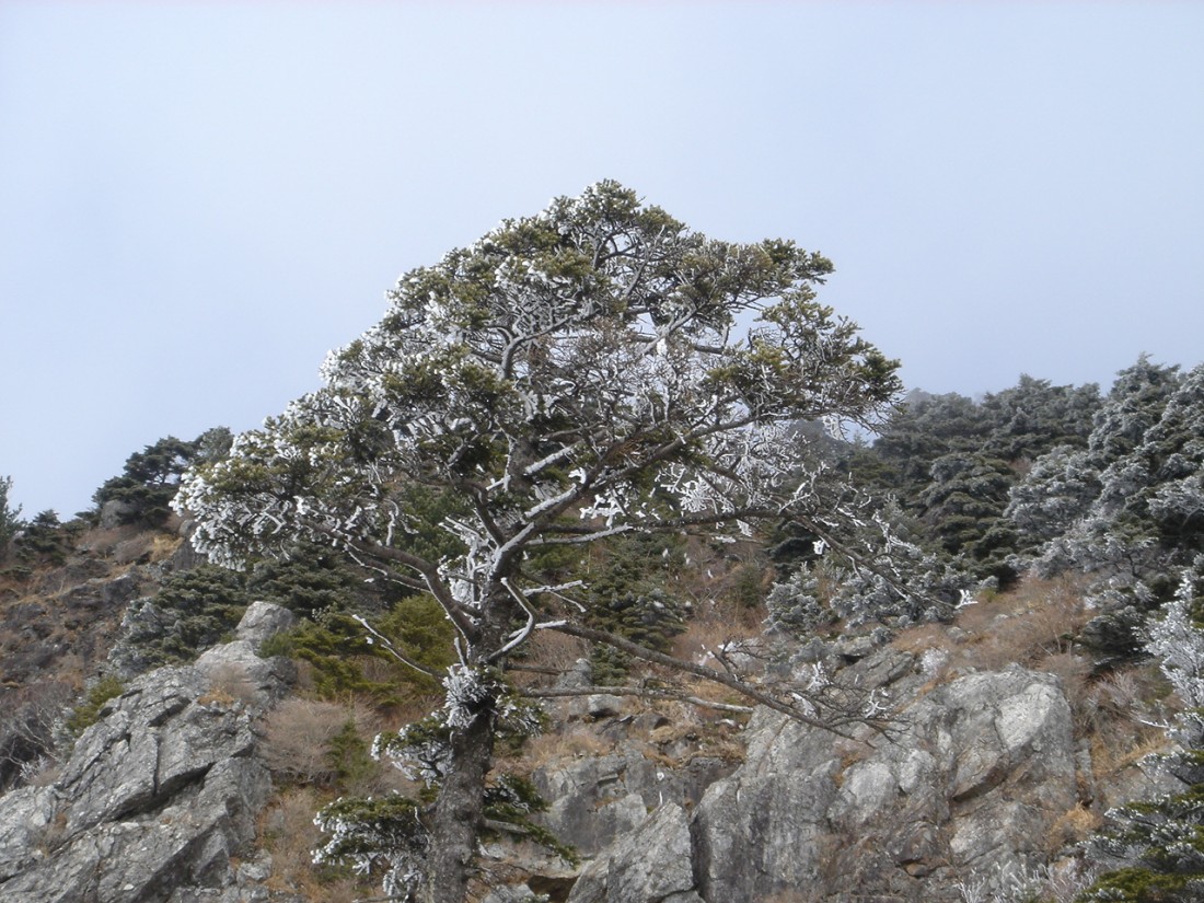 20070102_033.jpg