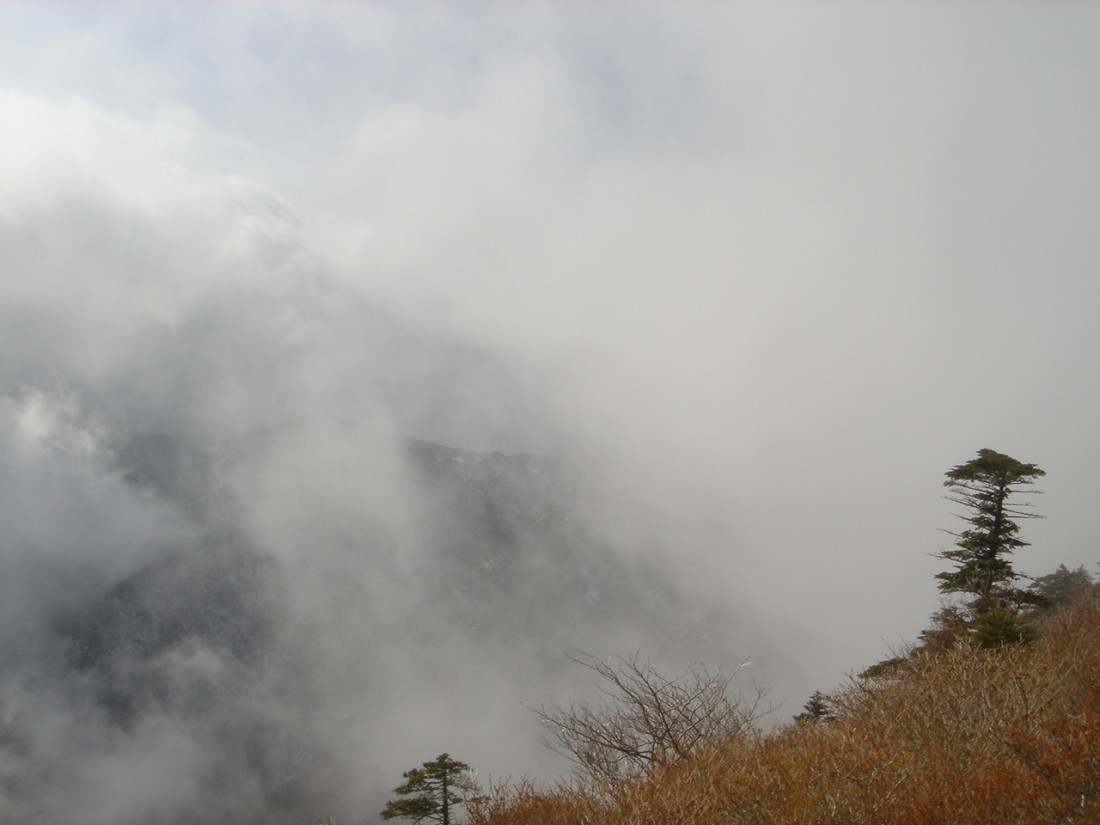 20070102_039.jpg