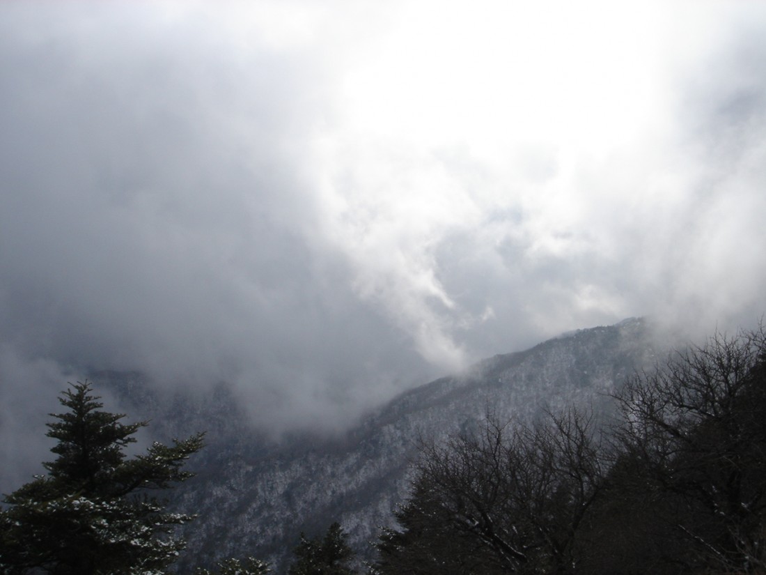 20070102_076.jpg
