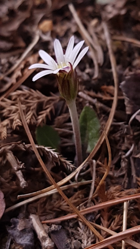 bc71989e73ab147a87849f3cd40f2483_1554141904_0413.jpg bc71989e73ab147a87849f3cd40f2483_1554141904_0413.jpg