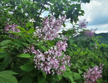  width=100%></a></td></tr><tr><td height=1 bgcolor=#cccccc></td></tr><tr><td bgcolor=#f3f3f3 align=center height=22><a href=