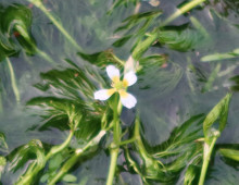  width=100%></a></td></tr><tr><td height=1 bgcolor=#cccccc></td></tr><tr><td bgcolor=#f3f3f3 align=center height=22><a href=