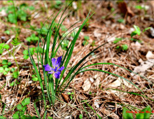  width=100%></a></td></tr><tr><td height=1 bgcolor=#cccccc></td></tr><tr><td bgcolor=#f3f3f3 align=center height=22><a href=
